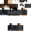 Texture for DAT_TURTLE