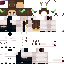 Texture for w