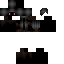Texture for Luna Moon Shadow