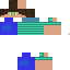 Texture for STEVE