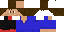 Texture for ds