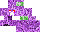 Texture for reverso