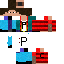 Texture for paulincraft
