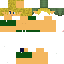 Texture for Link 