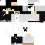 Texture for ds