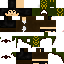 Texture for Gplaitis
