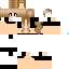 Texture for Head