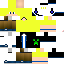 Texture for raphael