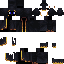 Texture for cat mage