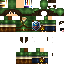 Texture for Karpa's TLOZ Part 2