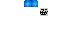 Texture for ds