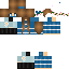 Texture for steve