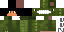 Texture for CreeperZinN