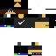 Texture for Steve