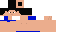 Texture for Improved speedo