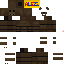 Texture for fixed cat