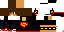 Texture for ninjap