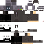 Texture for Monitor head