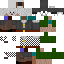 Texture for Steve