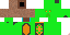 Texture for creperturtle