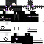 Texture for nast095