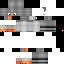 Texture for Steve