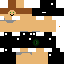 Texture for Ninja