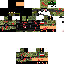 Texture for wojok2