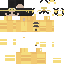 Texture for Zay