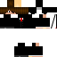 Texture for vichytor