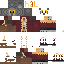 Texture for captain owl