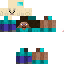 Texture for llama