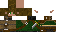 Texture for elf