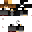 Texture for lion1