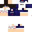 Texture for AGR SIM