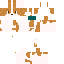 Texture for King Charles Spaniel