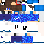 Texture for steve