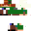 Texture for fs