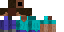 Texture for FRODON