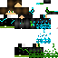 Texture for Caci