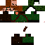 Texture for cammo up