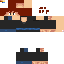 Texture for Falconer
