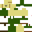 Texture for Matontito