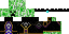 Texture for creeper king 