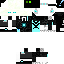 Texture for enderwhite