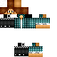 Texture for steve