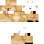 Texture for DOGE