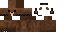 Texture for bear