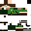 Texture for Raposa1220