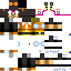 Texture for Charmy Bee
